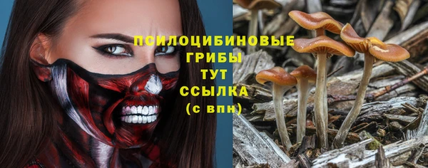 mix Абинск