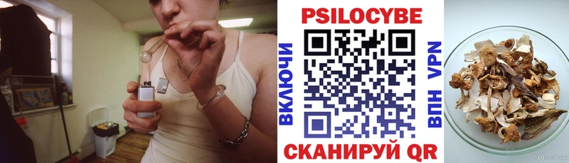 Псилоцибиновые грибы Magic Shrooms  hydra зеркало  Ивантеевка  наркота 
